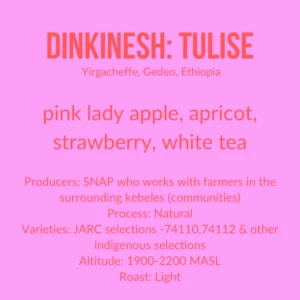 Dinkinesh: Tulise - Little Waves Coffee Roastery